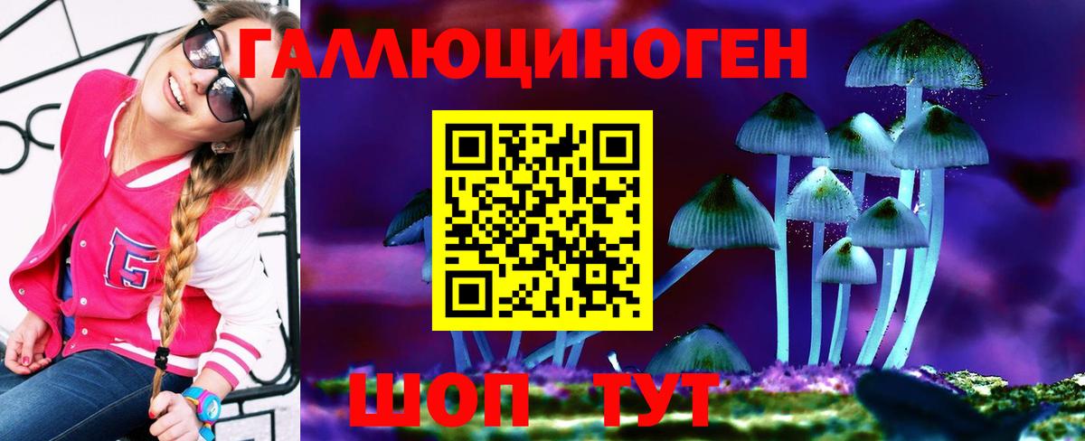 Лесозаводск  Псилоцибиновые грибы мицелий  Вход с VPN 